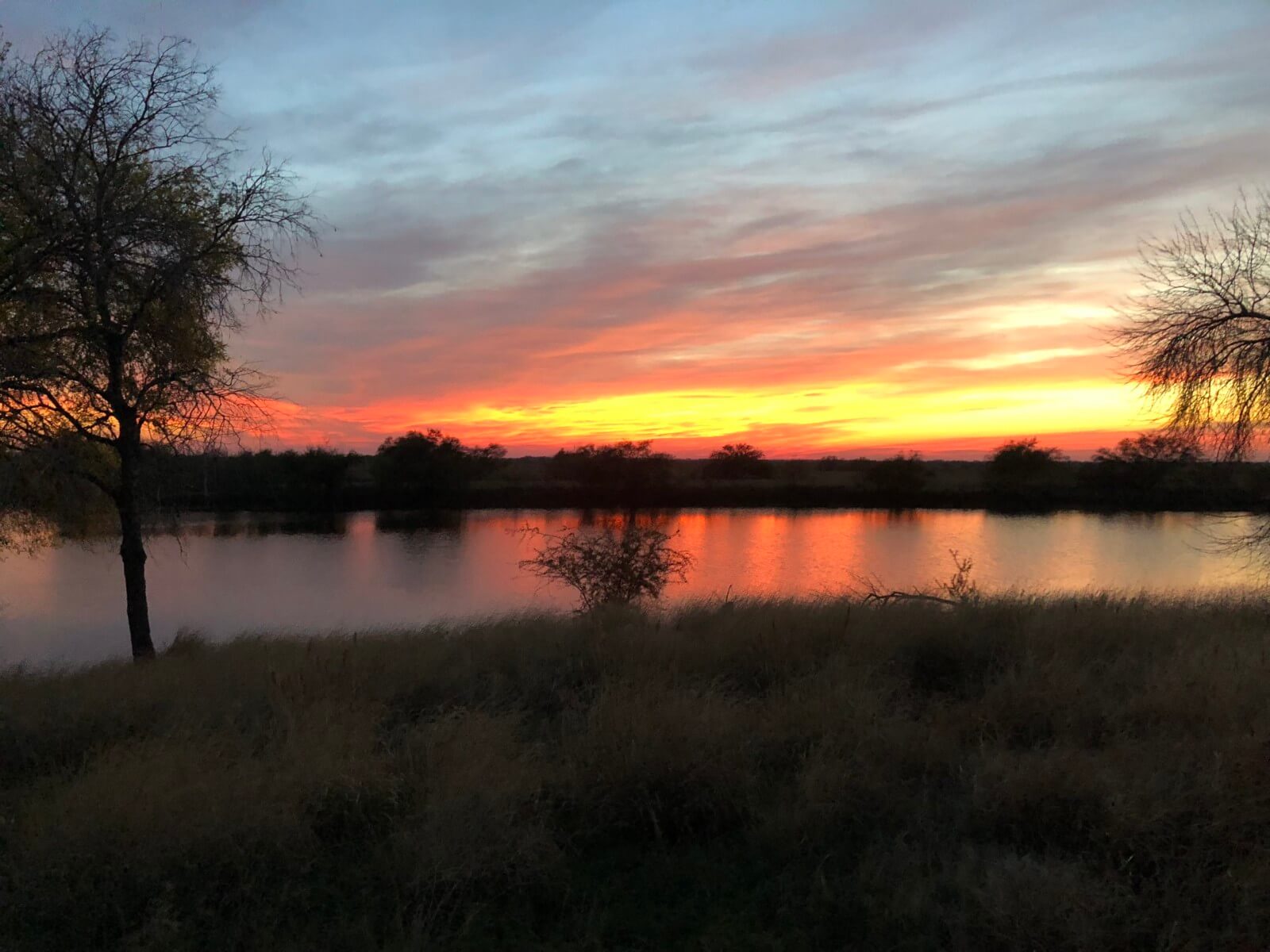 Home Great Horizon Ranch South Texas Hunting Cotulla, Texas